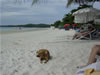 Ko Samet Beach 4