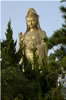 Buddha Guanyin 15