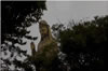 Buddha Guanyin 5