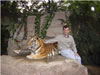 DanAndTiger
