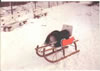 Prague Sled