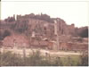 Roman Forum 01