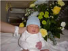 Jacob02 1d