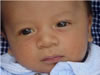 UpClose01 1m