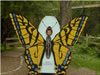 20060919 Butterfly