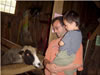 20060919 Sheep