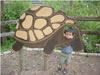 20060919 Turtle