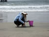Beach002