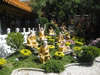 Temple003