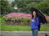 Rain Flowers2