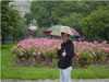 Rain Flowers
