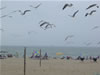 BeachB129