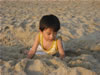 IMG 0267