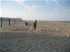 11rehoboth2008