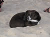 Rehoboth 2009 181