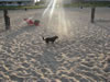 Rehoboth Beach 2009 Mom 099