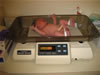 7 lbs 6 ounces, 20 1/2 inches