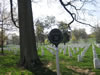 Arlington01marker