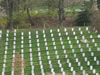 Arlington03