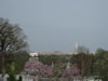 Arlington05